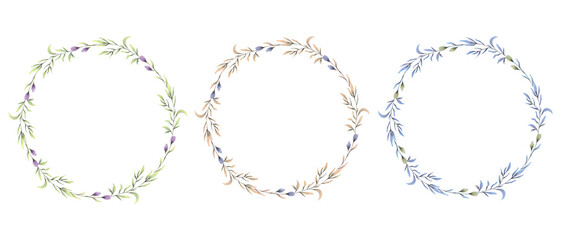 Obraz premium green grass isolated on white