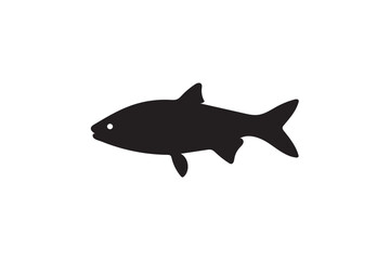 Obraz premium Grass carp silhouette on white background.01