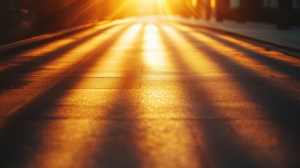 Golden sunset path