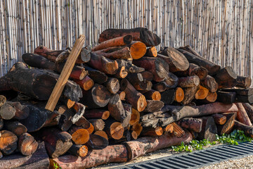 Stacked firewood against a reed fence, showing contrast between fresh and aged logs. Warm sunlight enhances texture. Kas, Mediterranean, Turkey.