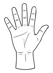 Obraz premium Ludzka otwarta dłoń rysunek