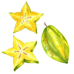 Fototapeta premium Starfruit illustration showing whole and sliced pieces, highlighting its vibrant yellow and green colors