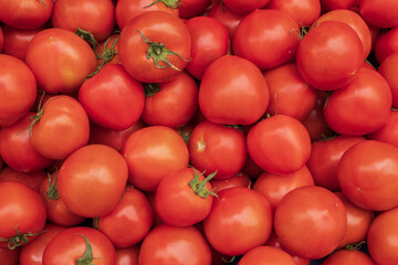 Fresh farm cherry tomatoes displayed for sale - bright organic background