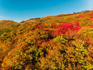 Mountain with autumn seasonal forest and trees with yellow or red foliage