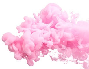 Obraz premium pink carnation flowers