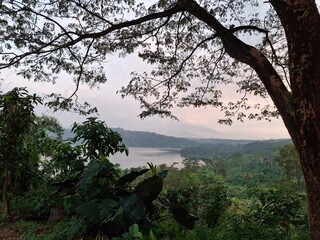 sunset in the forest