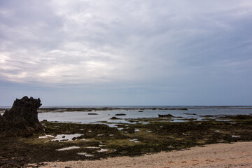 日本の鹿児島県の徳之島の美しい風景