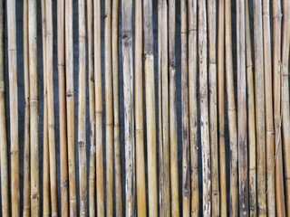 Vertical bamboo sticks forming natural texture background