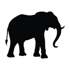 Fototapeta premium elephant black vector silhouette