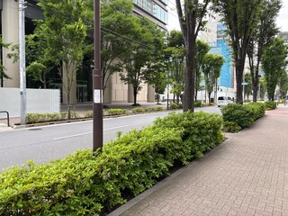 神田錦町の景色