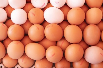 Egg background - close-up of organic white and brown chicken eggs at farmers market