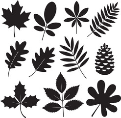 Maple Leaf SVG – Autumn Silhouette for Crafts & Fall Decor

Canadian Maple Leaf Clipart – Nature Design for DIY Projects

Fall Leaf Silhouette – Rustic Leaf SVG for Signs & Shirts

Maple Leaf PNG – Si