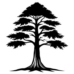 Black and white sketch of bald cypress tree with fine pencil detail