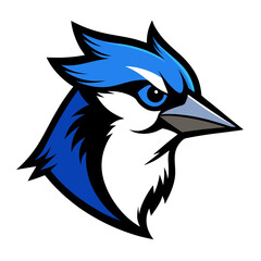 Blue jay bird head in black and white dramatic pencil sketch drawing