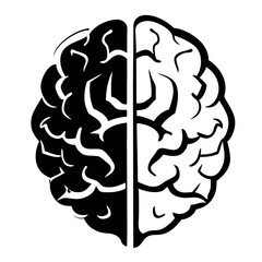 Half brain pencil sketch drawn in black and white with dramatic tone