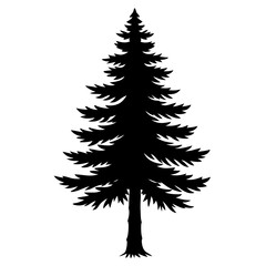 Obraz premium Douglas fir tree pencil sketch in black and white dramatic illustration