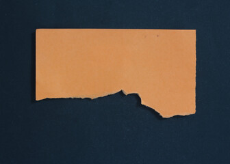 pieces of torn paper texture background, copy space for your text.