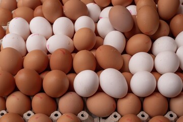 Egg background - close-up of organic white and brown chicken eggs at farmers market