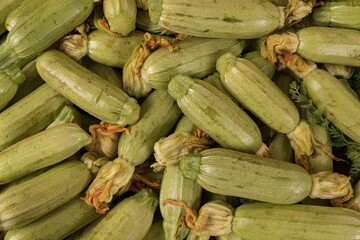 Close-up of fresh young zucchini stacked on a counter at a farmers market. Natural vegetable background for design and advertising