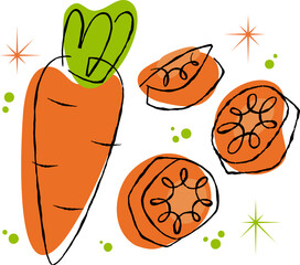 Retro style carrot illustration and sliced carrot pieces with decorative elements on transparent background for healthy food concept.