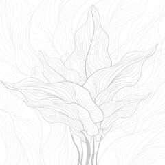 abstract hand draw leaves line background