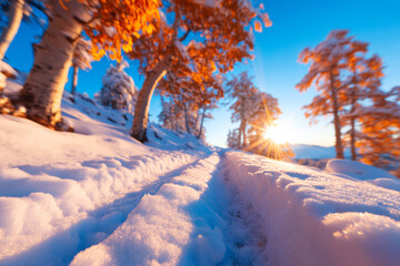 Sunlit path winding through snowy autumn forest landscape