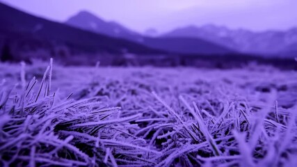 Frozen landscape scenery of grass and mountains with winter frosted plants - Powered by Adobe