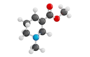 Arecoline molecule isolated on transparent background. Detailed 3D model of drug. Molecular formula: C8H13NO2. Chemical model: Ball and Stick. 3D illustration.