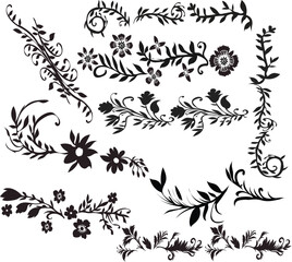 Fototapeta premium set of floral elements. black and white floral elements