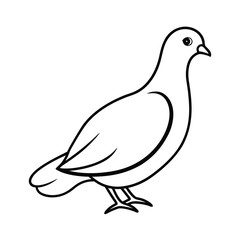 vector illustration of a dove