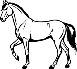 Graceful horse vector, outline in dynamic motion