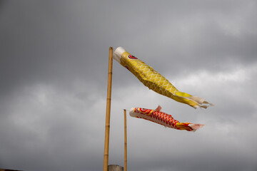 Two koinobori (carp streamers) flying against a cloudy sky. Traditional Japanese decorations for Children's Day