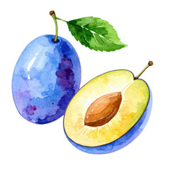 Watercolor illustration of whole and halved plum with leaf, showcasing vibrant colors and textures
