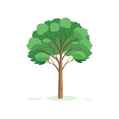 "Ultimate SVG Vector Design Bundle &ndash; Abstract, Geometric, Botanical, Mandala, Minimal, Vintage & Modern Elements for Cricut, Laser Cutting, Sublimation, and DIY Crafts"