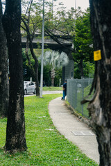 A person walks alone down a curved concrete sidewalk bordered by green grass and urban trees, with a striking silver palm in the background and overpasses above.