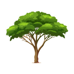 "Ultimate SVG Vector Design Bundle &ndash; Abstract, Geometric, Botanical, Mandala, Minimal, Vintage & Modern Elements for Cricut, Laser Cutting, Sublimation, and DIY Crafts"