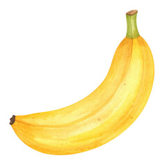 Watercolor illustration of ripe yellow banana with green stem