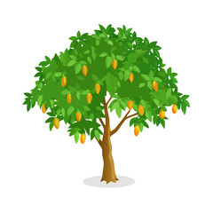 "Ultimate SVG Vector Design Bundle &ndash; Abstract, Geometric, Botanical, Mandala, Minimal, Vintage & Modern Elements for Cricut, Laser Cutting, Sublimation, and DIY Crafts"