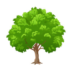 "Ultimate SVG Vector Design Bundle &ndash; Abstract, Geometric, Botanical, Mandala, Minimal, Vintage & Modern Elements for Cricut, Laser Cutting, Sublimation, and DIY Crafts"