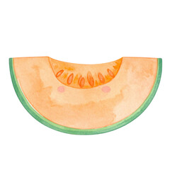 Watercolor illustration of cantaloupe slice with seeds, showcasing vibrant colors