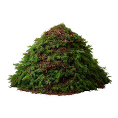 A lush pile of green moss, showcasing rich textures and earthy tones, perfect for nature-themed projects or as a decorative element in various designs.