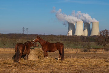 Dukovany Nuclear Power Plant in the Czech Republic, Europe. Smoke cooling towers. There are clouds...