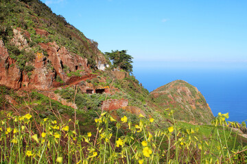 Selective focus on cave dwellings in the rocks, in front yellow oxalis flowers in bokeh (Tenerife, Canary Islands, Spain)
