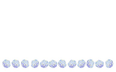 タマアジサイ　②