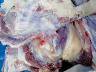 Raw mutton meat. Organic goat meat for making barbecue, grill, curry etc