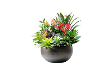 Exotic Bloom Ensemble: A meticulously arranged botanical display, featuring a vibrant composition of diverse blossoms and lush green foliage, artfully presented in a contemporary vessel.