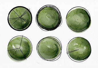 Top View of Watercolor Trees in Different Canopy Shapes Isolated on White Background for Landscape Architecture and Garden Planning.