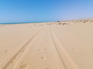 Car tire tracks on the beach sand. Travel and trips.Blue Sky and Sand.