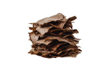 Stack of dried brown leaves isolated transparent background natural autumnal texture