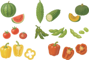 Summer Vegetables Illustration Set Vol.2 – Watermelon, Goya, Edamame, Mini Tomato, Pumpkin, Paprika